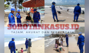 InShot_20260201_223327841