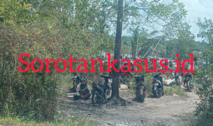 InShot_20260316_213930038